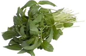 Mungboon bladeren 25gr